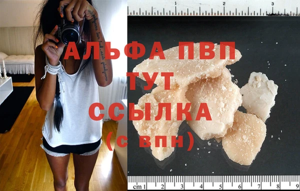 spice Баксан