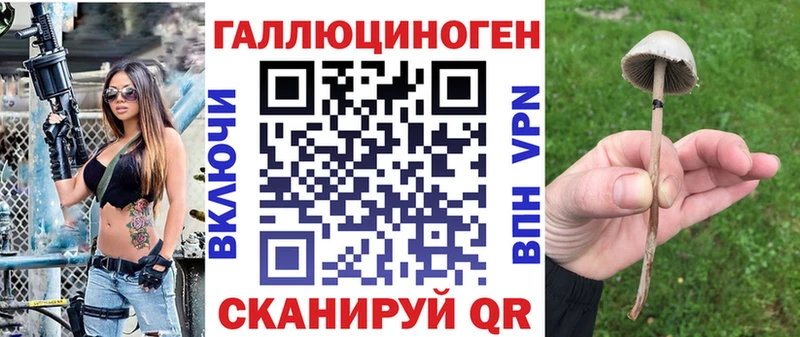 Псилоцибиновые грибы прущие грибы Коммунар