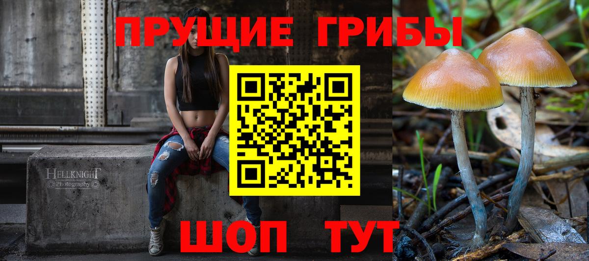 Псилоцибиновые грибы GOLDEN TEACHER Коммунар