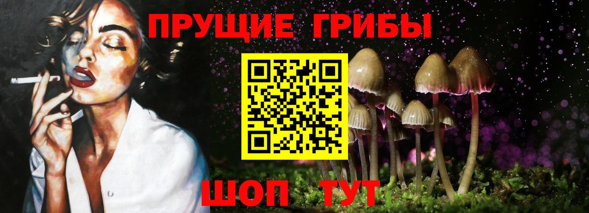 Коммунар  Псилоцибиновые грибы прущие грибы  Вход с VPN 